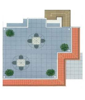 roof_molave