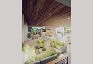 amenity-2